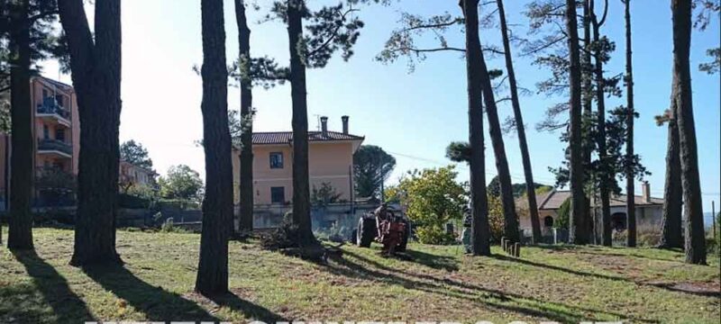 PARCO-DEL-COLLE