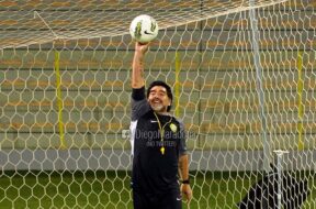 maradona