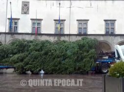 albero-di-natale-3