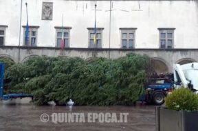 albero-di-natale-3