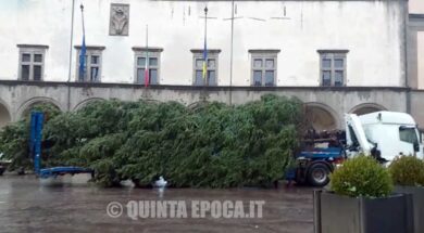 albero-di-natale-3