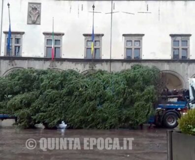 albero-di-natale-3