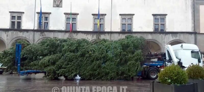 albero-di-natale-3