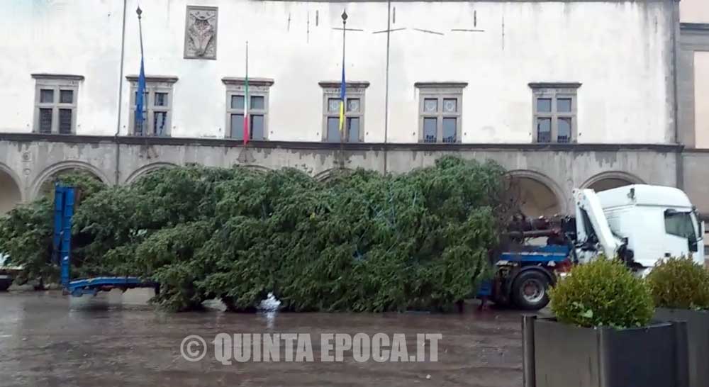 Sotto una pioggia torrenziale arriva l’albero di Natale 2020