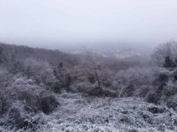 neve-tuscia-san-martino