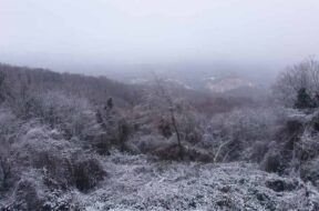 neve-tuscia-san-martino