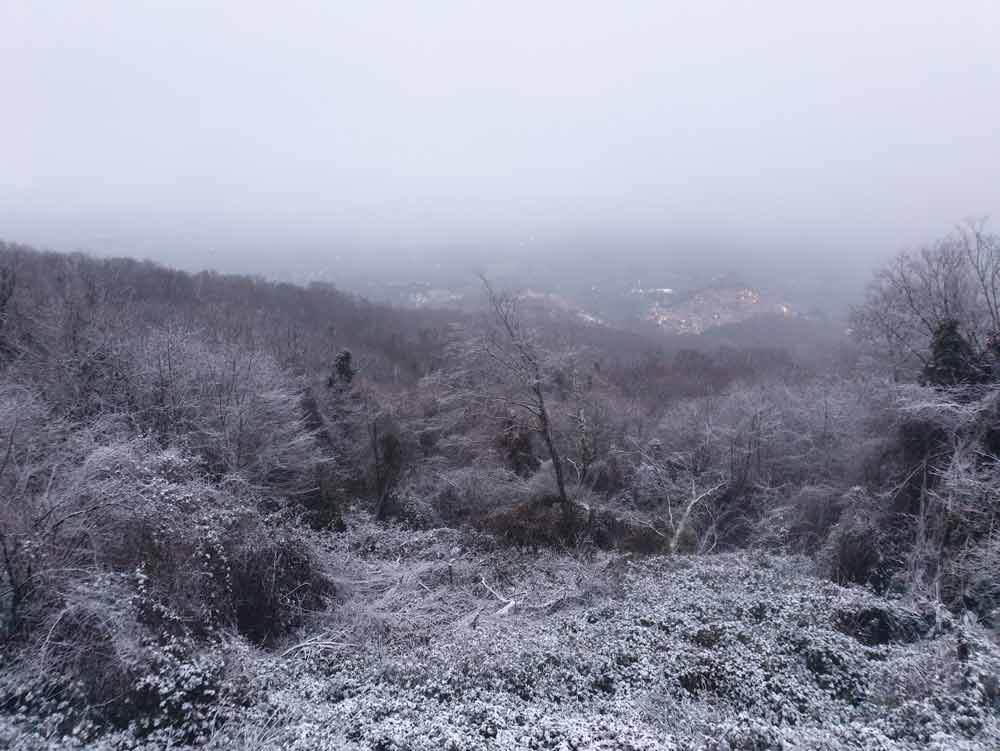 Allerta meteo: rovesci, temporali e nevicate oltre i 700 metri.