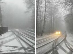 neve-viterbo