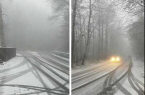 neve-viterbo