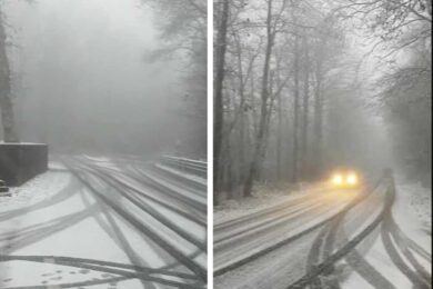 neve-viterbo