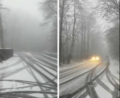 neve-viterbo
