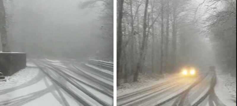 neve-viterbo