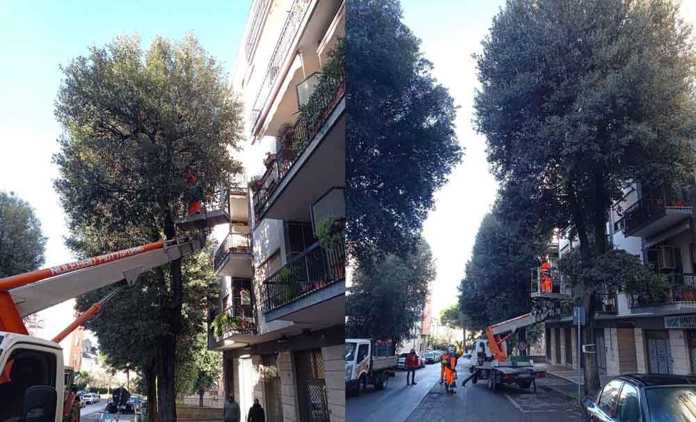 Continuano gli interventi di miglioramento sul verde pubblico.