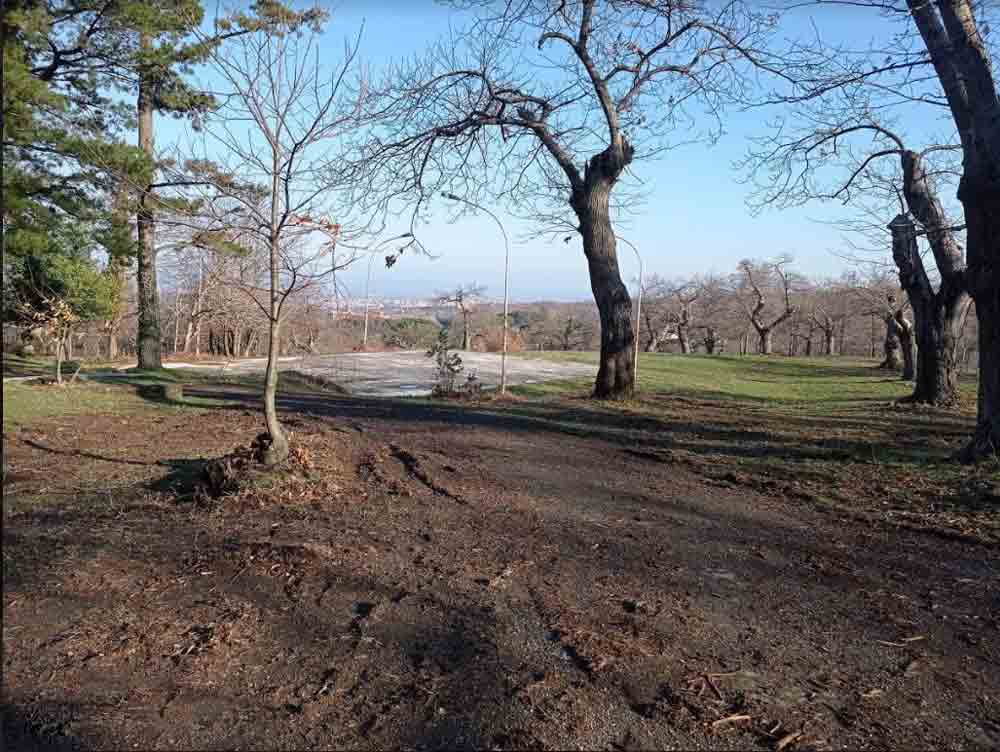 Parco di via del Colle a San Martino