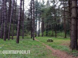 CIMINI-BOSCO-FAGGETA