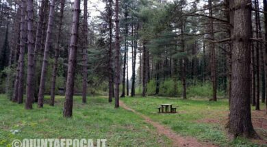 CIMINI-BOSCO-FAGGETA