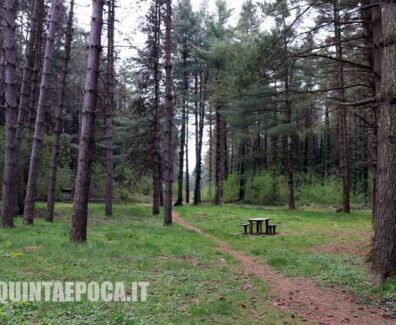 CIMINI-BOSCO-FAGGETA