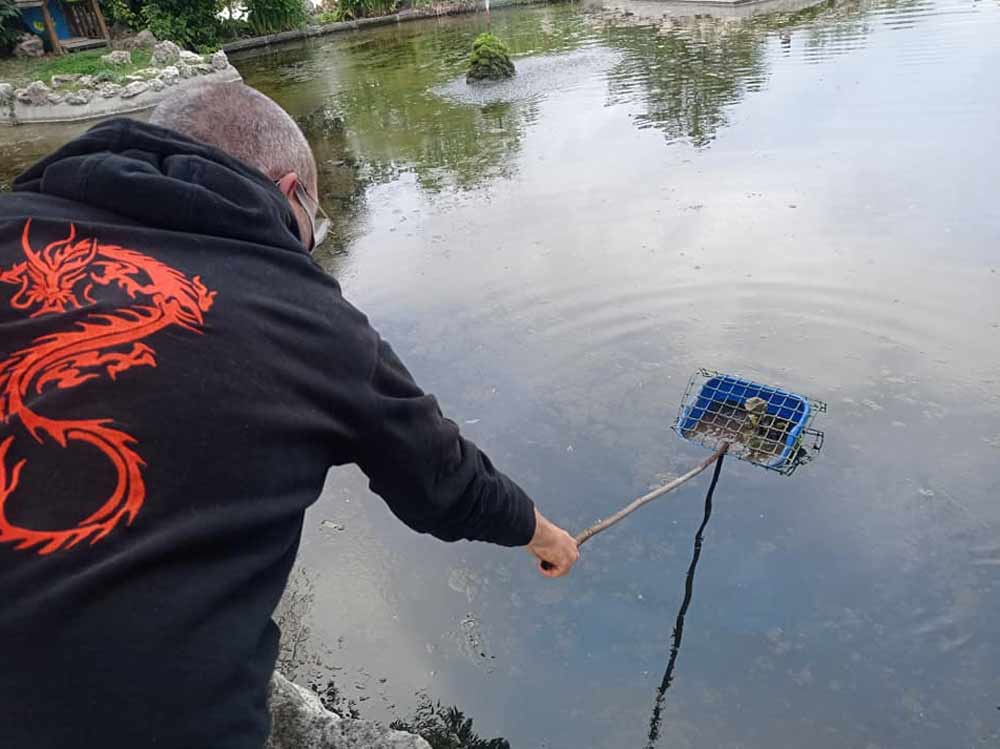 Arrivano anche le ninfee a impreziosire Prato Giardino.