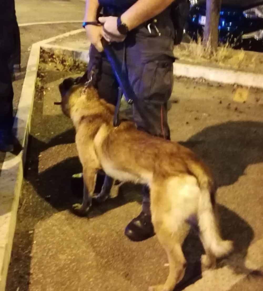 San Faustino: controlli con cani antidroga, un arresto e un locale chiuso.