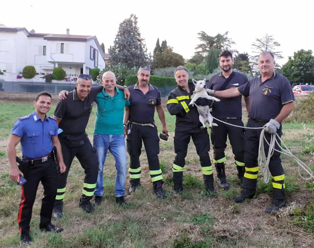 Cagnolino del quartiere finisce in un tombino: salvato da carabinieri e pompieri.