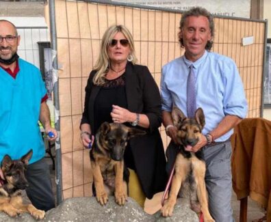 microchp-perlorca