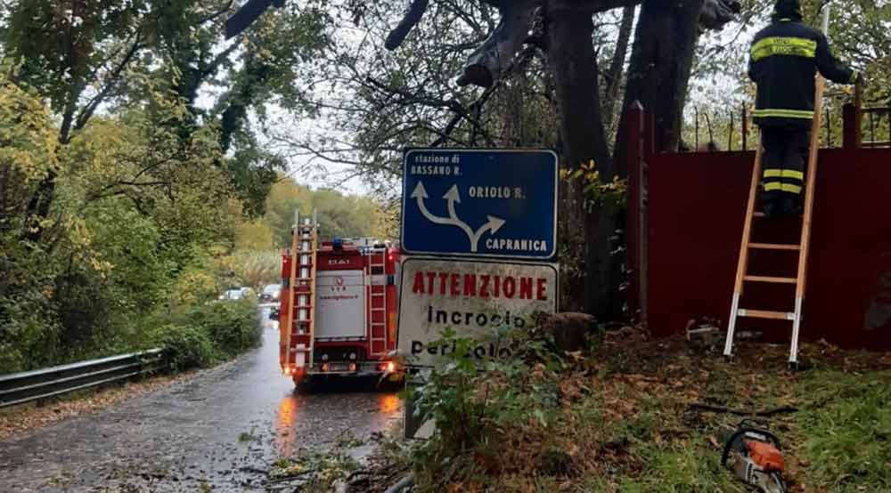Albero cade sulla strada: bloccato il traffico.