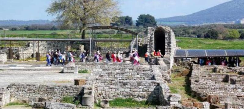vulci