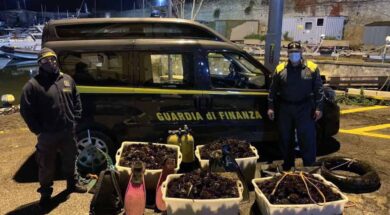 guardia-finanza-riccio