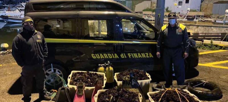 guardia-finanza-riccio