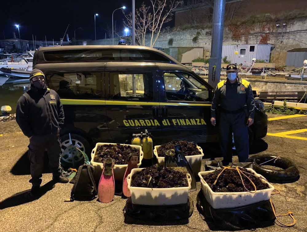 Ricci “salati” per il cenone di Capodanno: 24 mila euro di multa a due pescatori abusivi..
