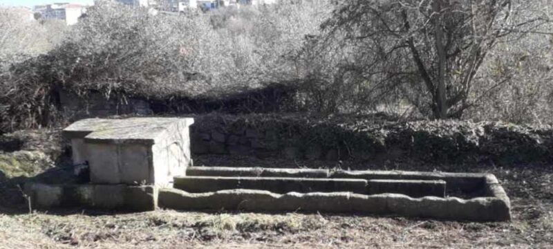 fontanile-vitorchiano