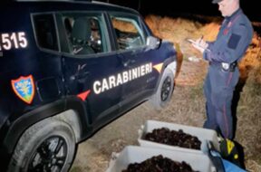 carabinieri-ricci-mare