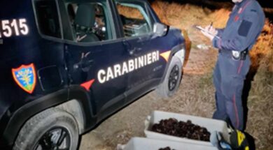 carabinieri-ricci-mare