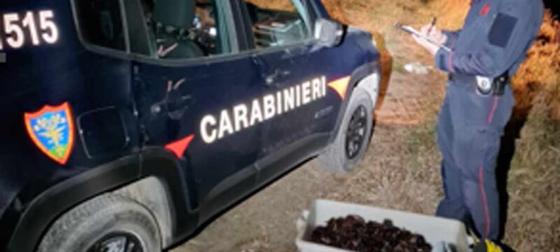 carabinieri-ricci-mare