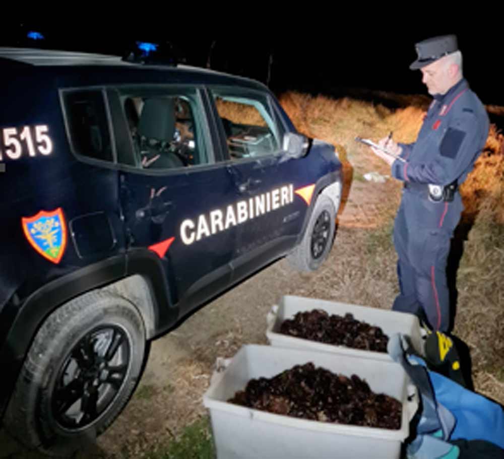 Pesca abusiva ricci di mare: sequestro di 2 mila esemplari e liberazione in mare.