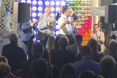 SALVINI-UBERTINI