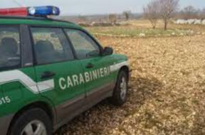 carabinieri-forestali