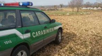 carabinieri-forestali