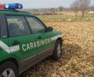 carabinieri-forestali