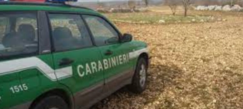 carabinieri-forestali