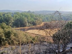 incendio