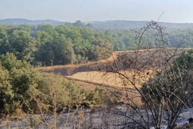 incendio