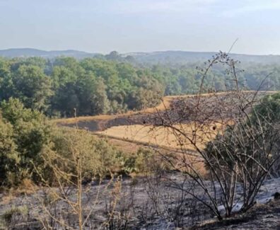 incendio