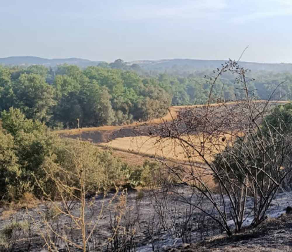 Bruciano 20 ettari tra Viterbo e Vetralla a causa di due incendi.