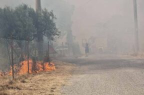 incendio2