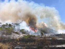 incendio