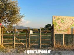 BAGNACCIO
