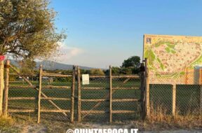 BAGNACCIO