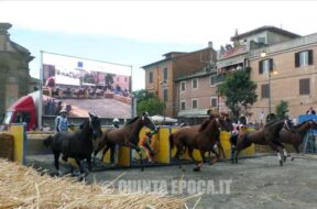 PALIO7
