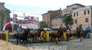 PALIO7